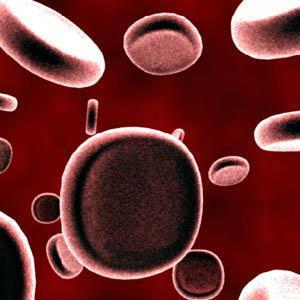 Stem cell treatment boosts heart function