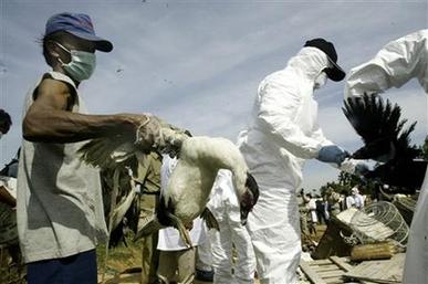 Terrorism fears prompt call for restrictions on publishing virus research