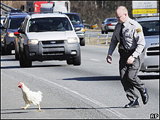 Highway, Freeway, Motorway 單詞'公路'的幾種說(shuō)法