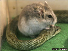 Similar Chinese and English Idioms漢英對應(yīng)成語