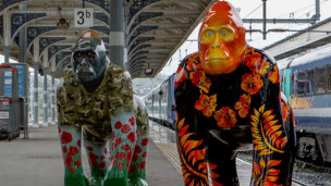 諾里奇大猩猩藝術(shù)走廊助升環(huán)保意識