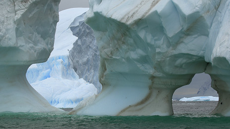 The end of whaling for Japan? 日本捕鯨業(yè)末日來臨?