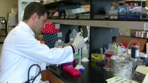 留學(xué)問答:到英國讀醫(yī)學(xué)博士