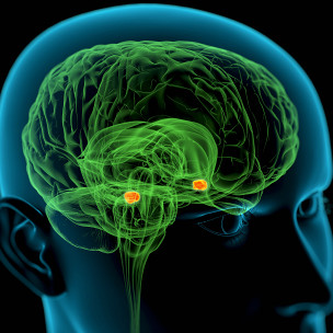 留學(xué)問(wèn)答:心理學(xué)碩士