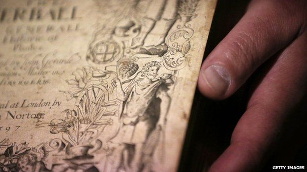 16世紀(jì)植物學(xué)史藏玄機(jī):年輕莎翁肖像