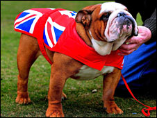 The Lonely Bulldog 英國(guó)成孤家寡人