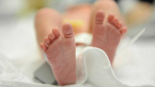 The three-parent kid 有三個(gè)父母的孩子