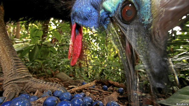 Blue in the face 徒勞無(wú)功