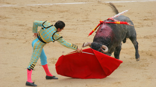 Like a red rag to a bull 行為或言語令人憤怒