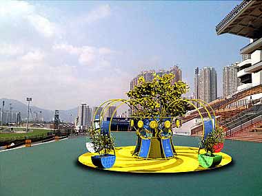 My money tree 我的搖錢樹(shù)