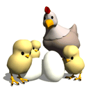 雞生蛋，蛋生雞？