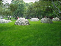 星星掉到地上來(lái)？