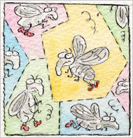 蒼蠅也有自己的“領(lǐng)空”嗎？