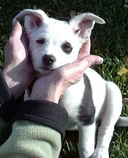 人們?cè)敢赓徺I親手摸過的商品