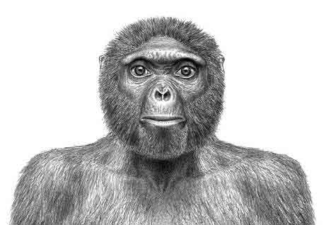 美國國家地理09年度十大科學(xué)發(fā)現(xiàn)