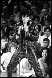 從好萊塢到百老匯——音樂劇《百老匯之夢(mèng)》介紹