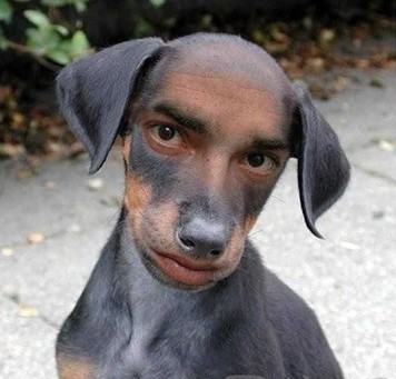 笑話究竟為什么好笑？