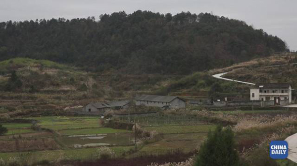 那一口下去滿嘴生津、齒頰留香的美味，承載著他怎樣的回憶和憧憬丨解碼中國(guó)