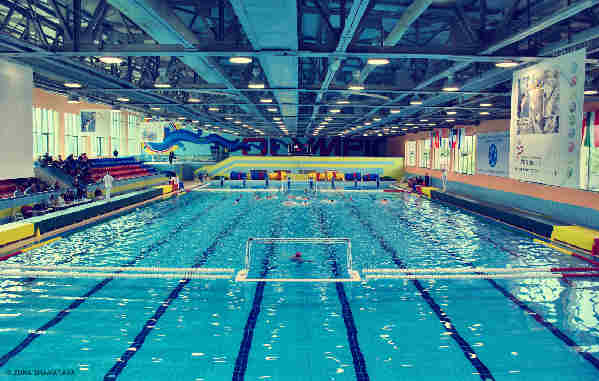 奧運(yùn)賽事分類(lèi)詞匯-游泳