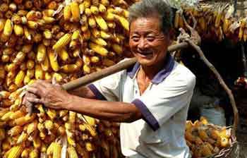 “三農(nóng)”問(wèn)題 Issues of agriculture, farmer and rural area