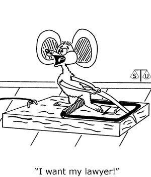 老鼠、鼠夾和我