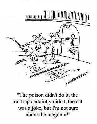 老鼠、鼠夾和我