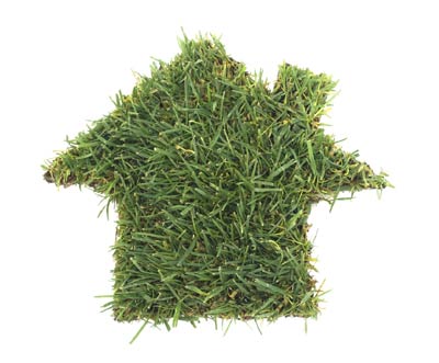 身處蝸居，心憂自然