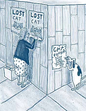 美國(guó)人(貓)在巴黎