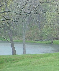 用英語(yǔ)來(lái)聊聊你喜歡春天哪一點(diǎn)