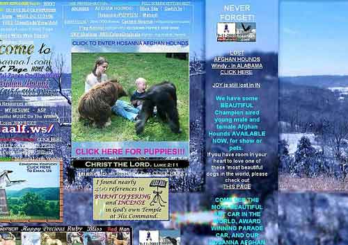 沒(méi)有最丑只有更丑 盤點(diǎn)全球最丑網(wǎng)站