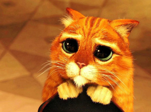 “賣萌”英文怎么說？