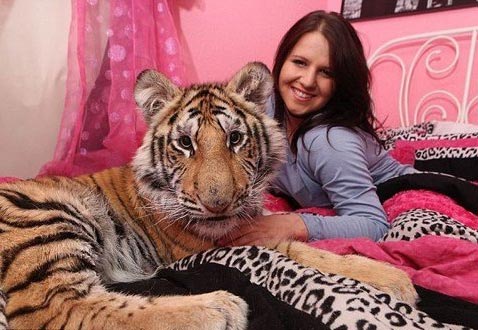老虎當寵物，是福還是禍？