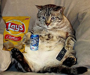 “宅男/宅女”英語怎么說？