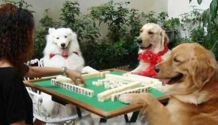 別誤會(huì)這些英文(十)