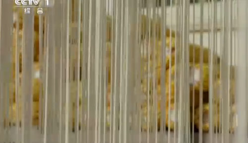 “舌尖上的中國2”美食英文說法搶鮮看之二(組圖)