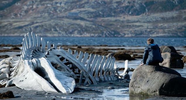 2014戛納電影節(jié)：十大不可錯(cuò)過佳片