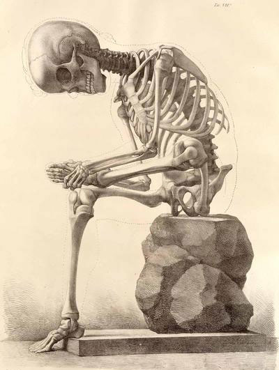 起來，不愿變老的人們！