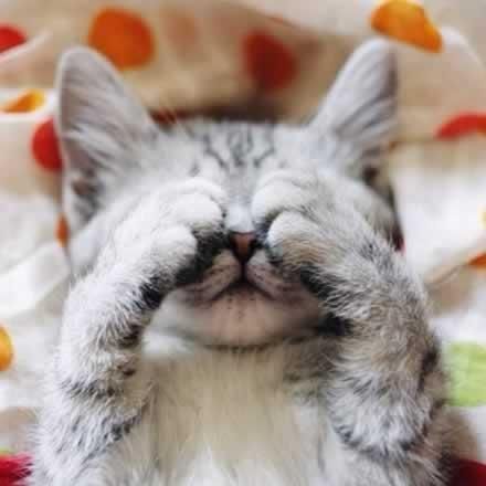 2014網(wǎng)絡(luò)流行語大盤點(diǎn) 且行且珍惜