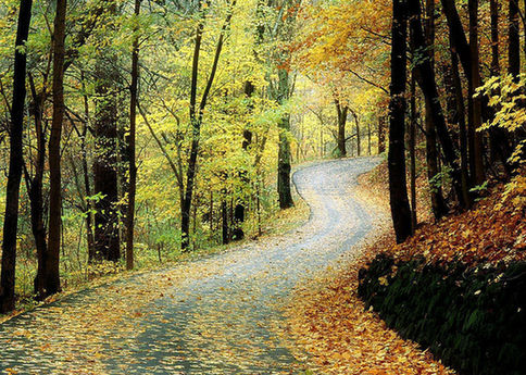 原來(lái)英文也這么博大精深:“路”的表達(dá)花樣多多