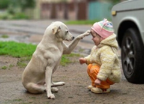 小伙伴難過時,你知道如何用英語安慰ta嗎?