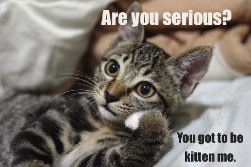 歪果仁怎樣說(shuō)“此話當(dāng)真”？