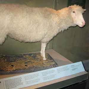 極客必知:這些炫酷科幻詞是怎么來的