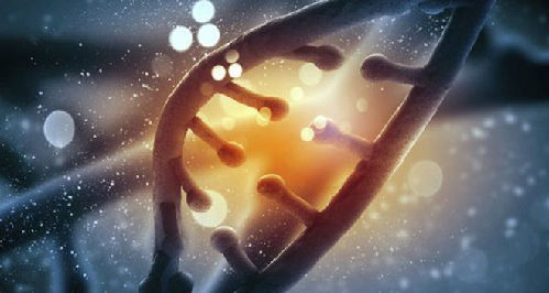 英將用“基因剪刀”技術發(fā)展新藥