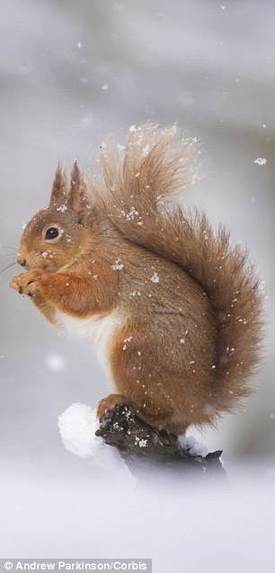 十大最難發(fā)音英語(yǔ)詞揭曉