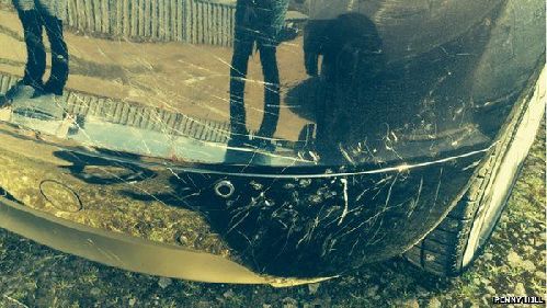 孔雀把汽車投影當(dāng)情敵 狠啄車身