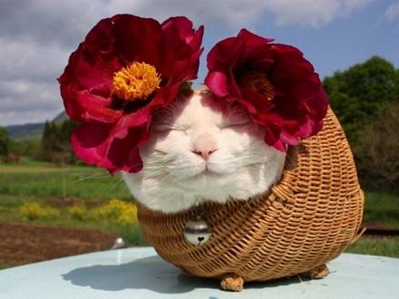 從A到Z 26個(gè)奇葩英文單詞 你認(rèn)識(shí)幾個(gè)？