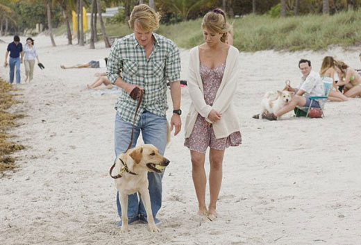 女人們?yōu)槭裁聪矚g一起看苦情片？