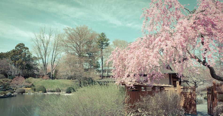 繽紛、靈動、斑斕：世界上最美的18座花園