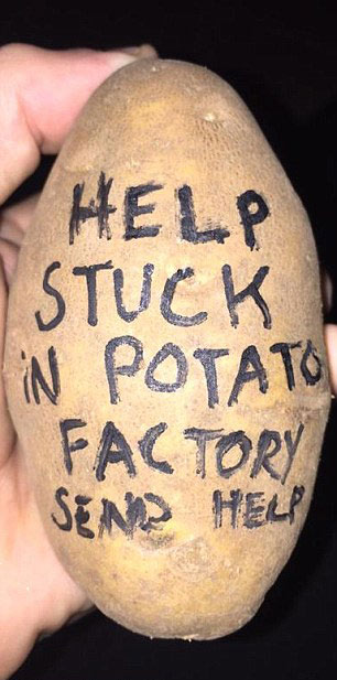 今年過節(jié)不送卡，送土豆！