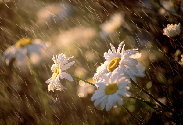 生命中最尋常的幸福小事，你珍惜了嗎？